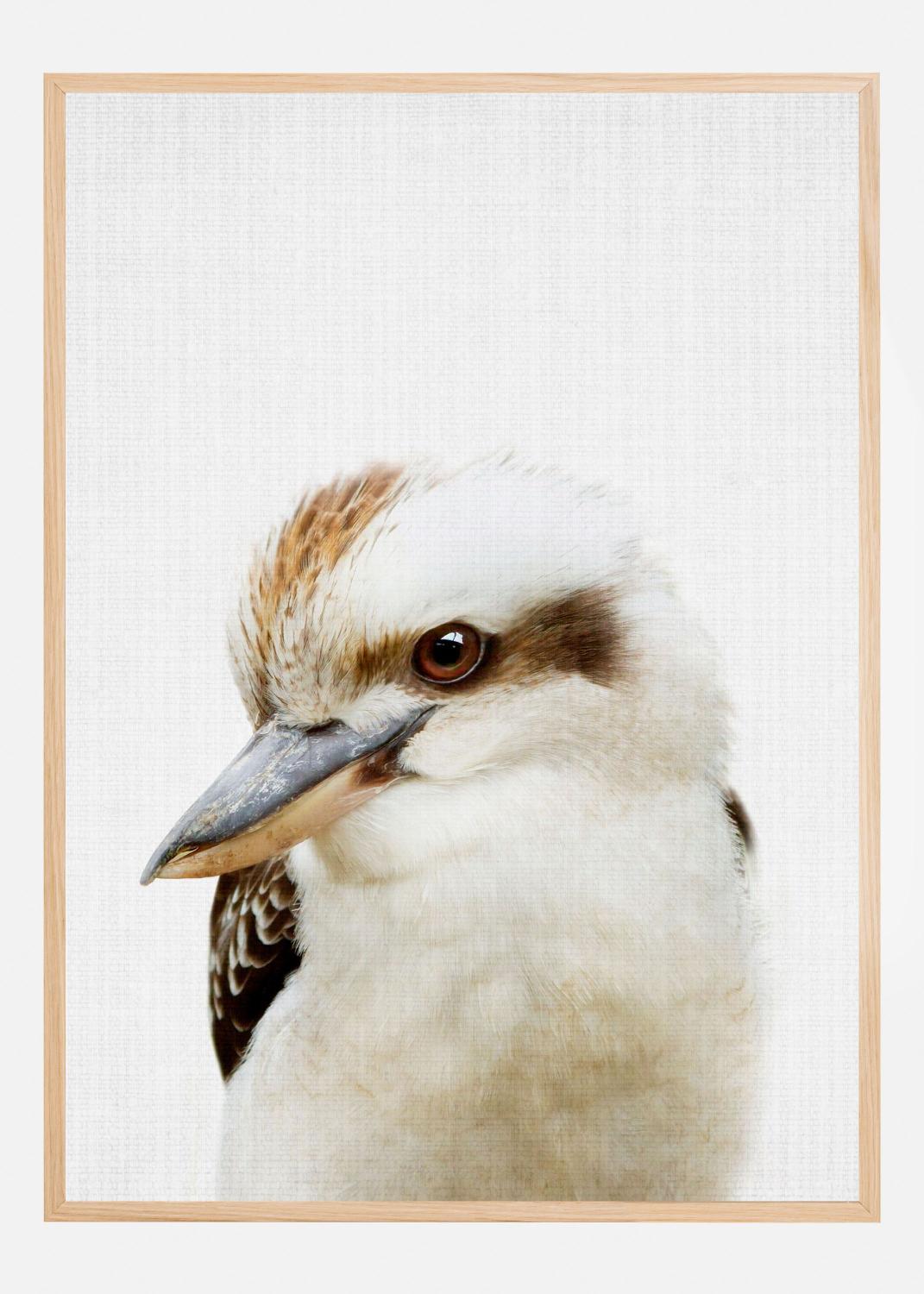 Product Image for Peekaboo Kookaburra Póster (100x140 cm)
