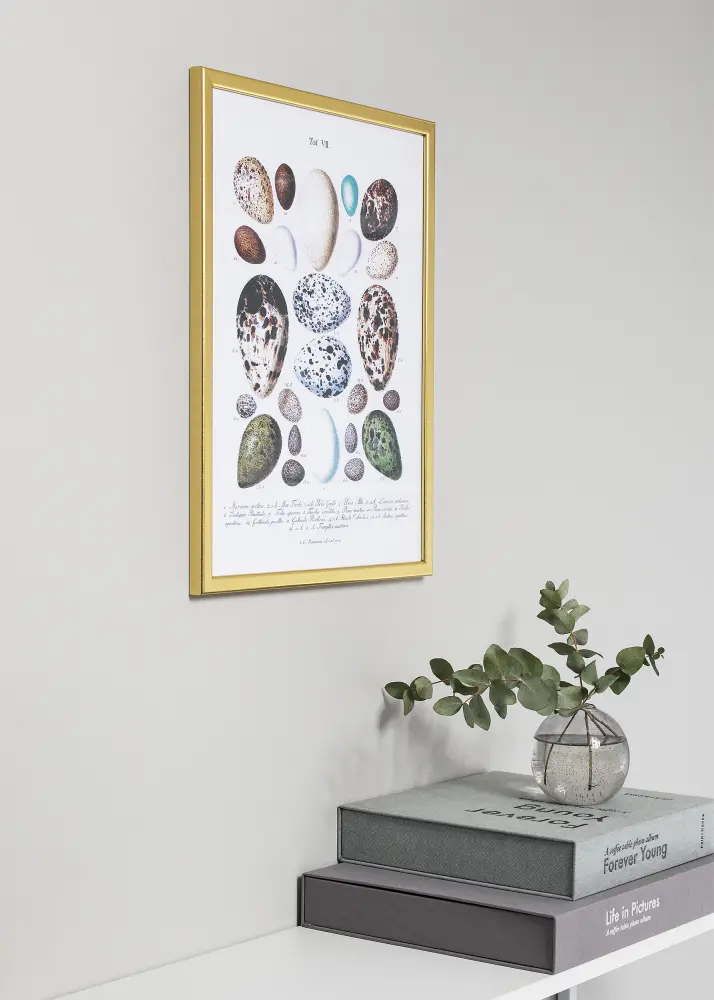Moldura Slim Mate Vidro antirreflexo Dourado 40x40 cm