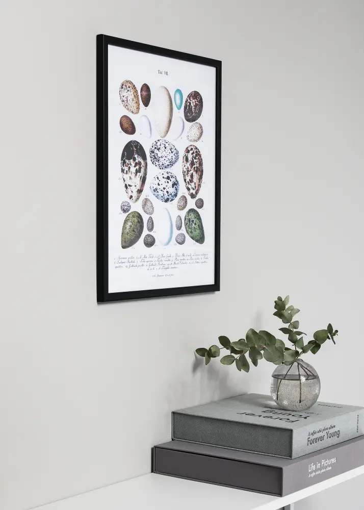 Slim Mate Vidro antirreflexo Preto 40x50 cm