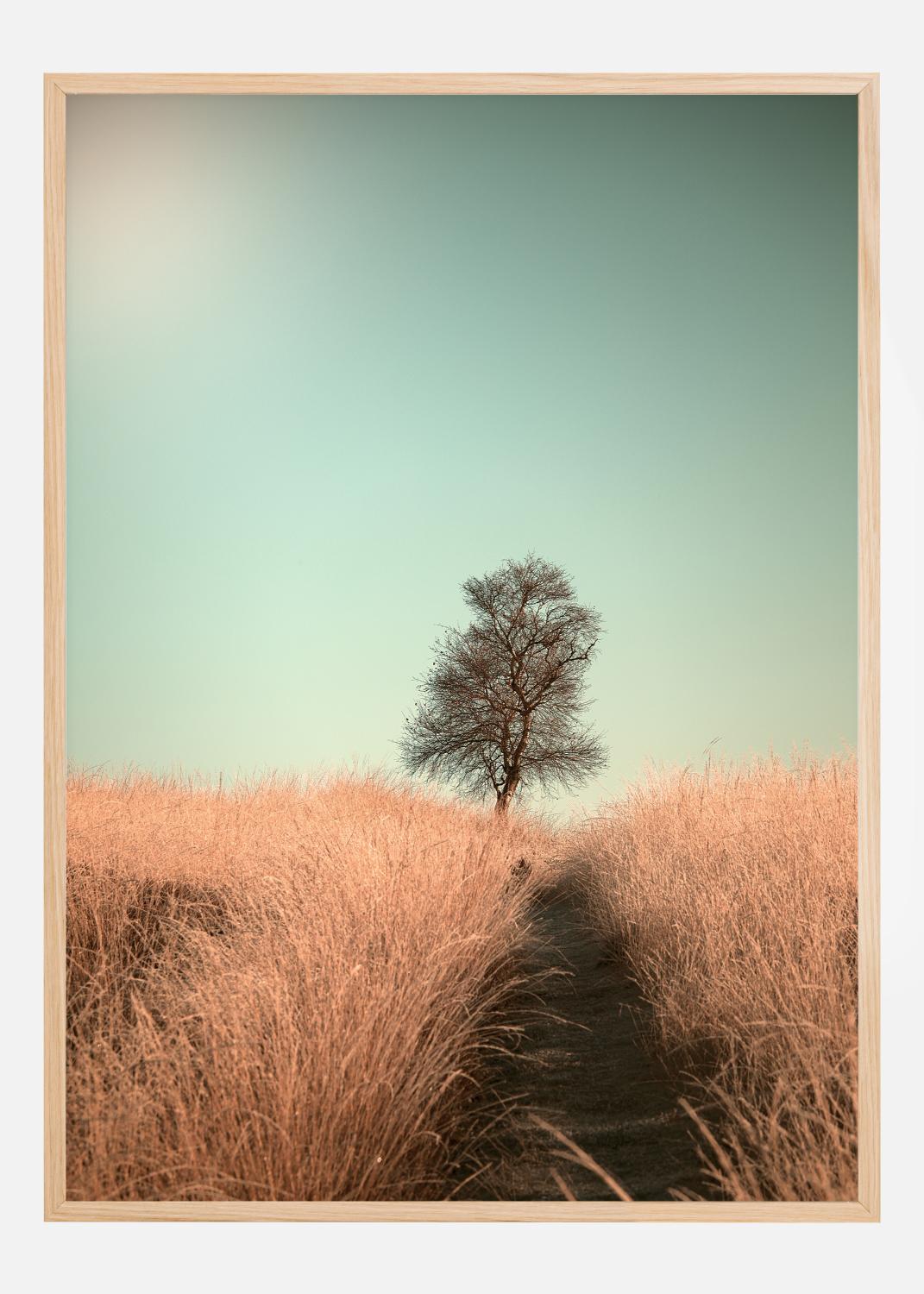 Product Image for Grass And Path Póster (21x29.7 cm (A4))