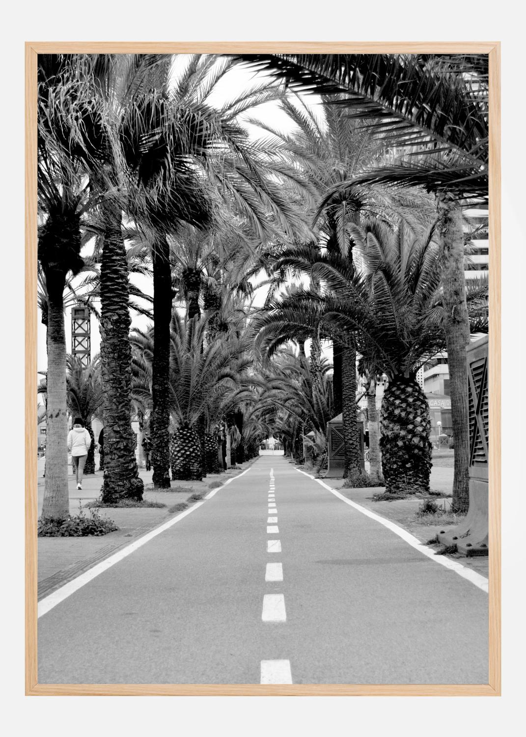 Product Image for Allè Póster (21x29.7 cm (A4))