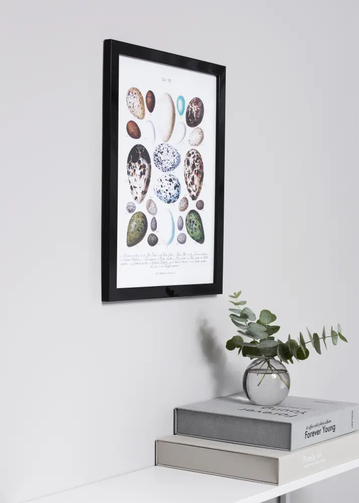 Moldura Uppsala Preto Acabamento brilhante 30x40 - Passe-partout Branco 21x30 cm