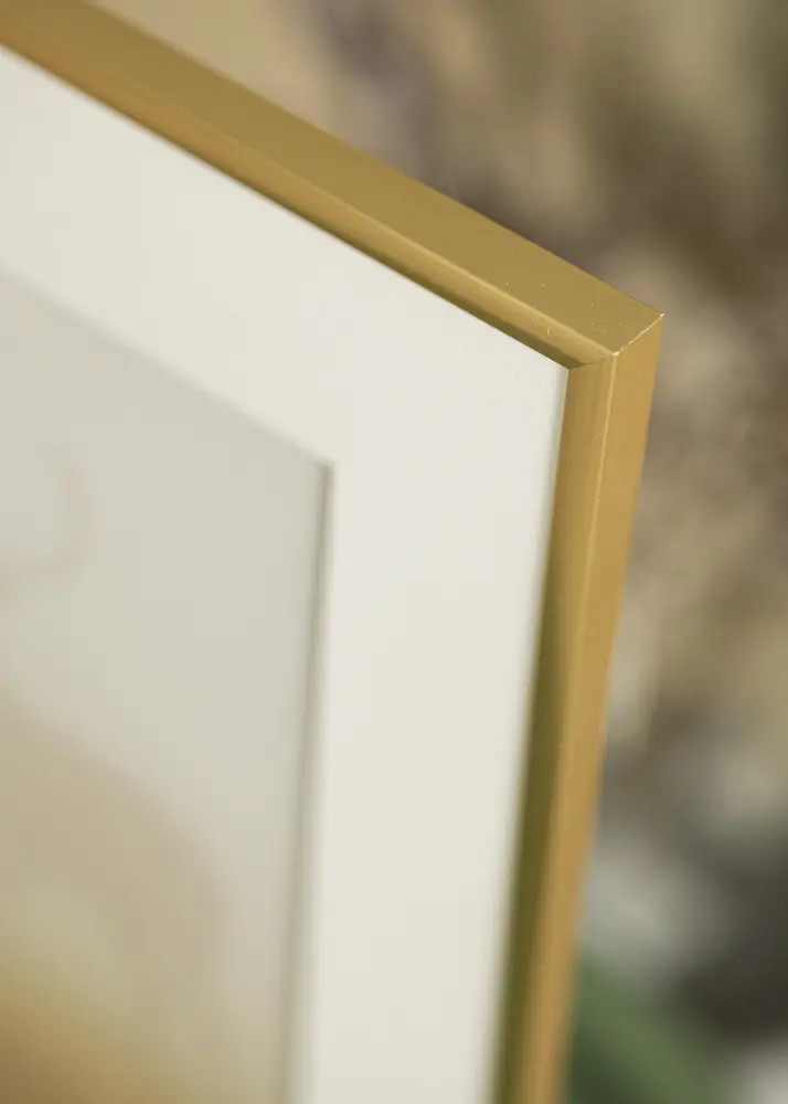 Moldura New Lifestyle Shiny Gold 60x80 cm - Passe-partout Branco 50x70 cm