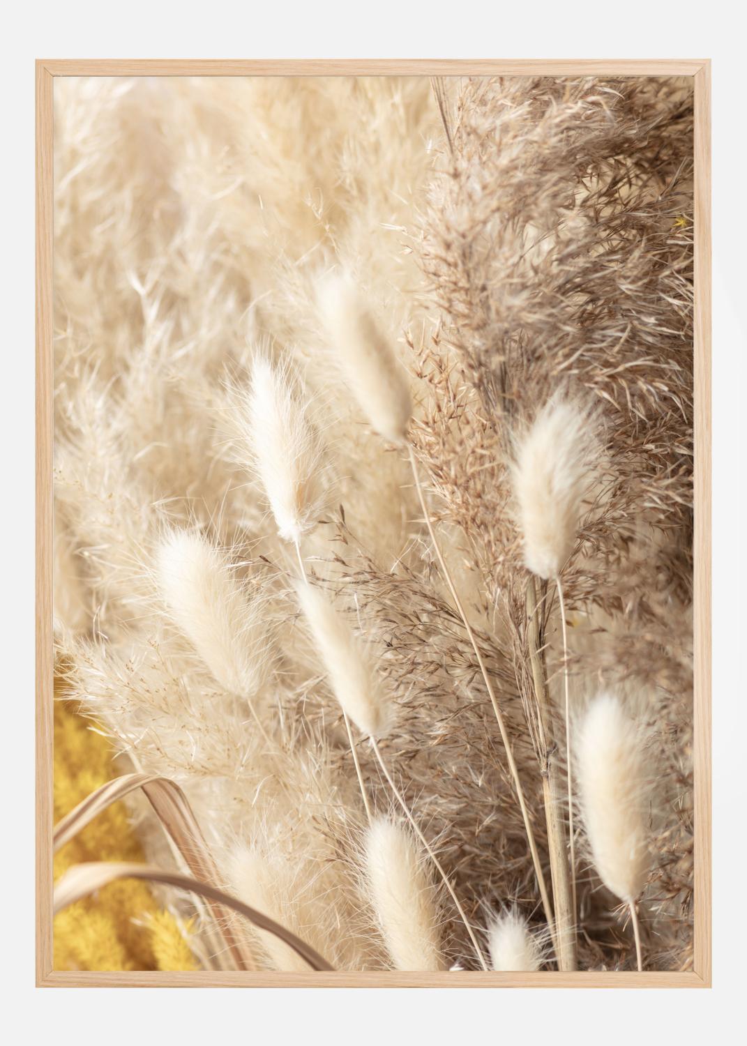 Product Image for Dried Bouquet Póster (21x29.7 cm (A4))