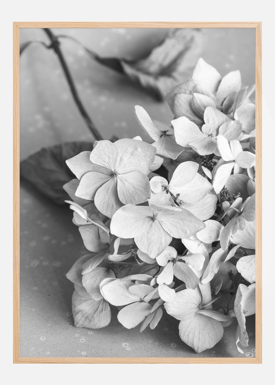 Product Image for Dried Flower Bw Póster (21x29.7 cm (A4))