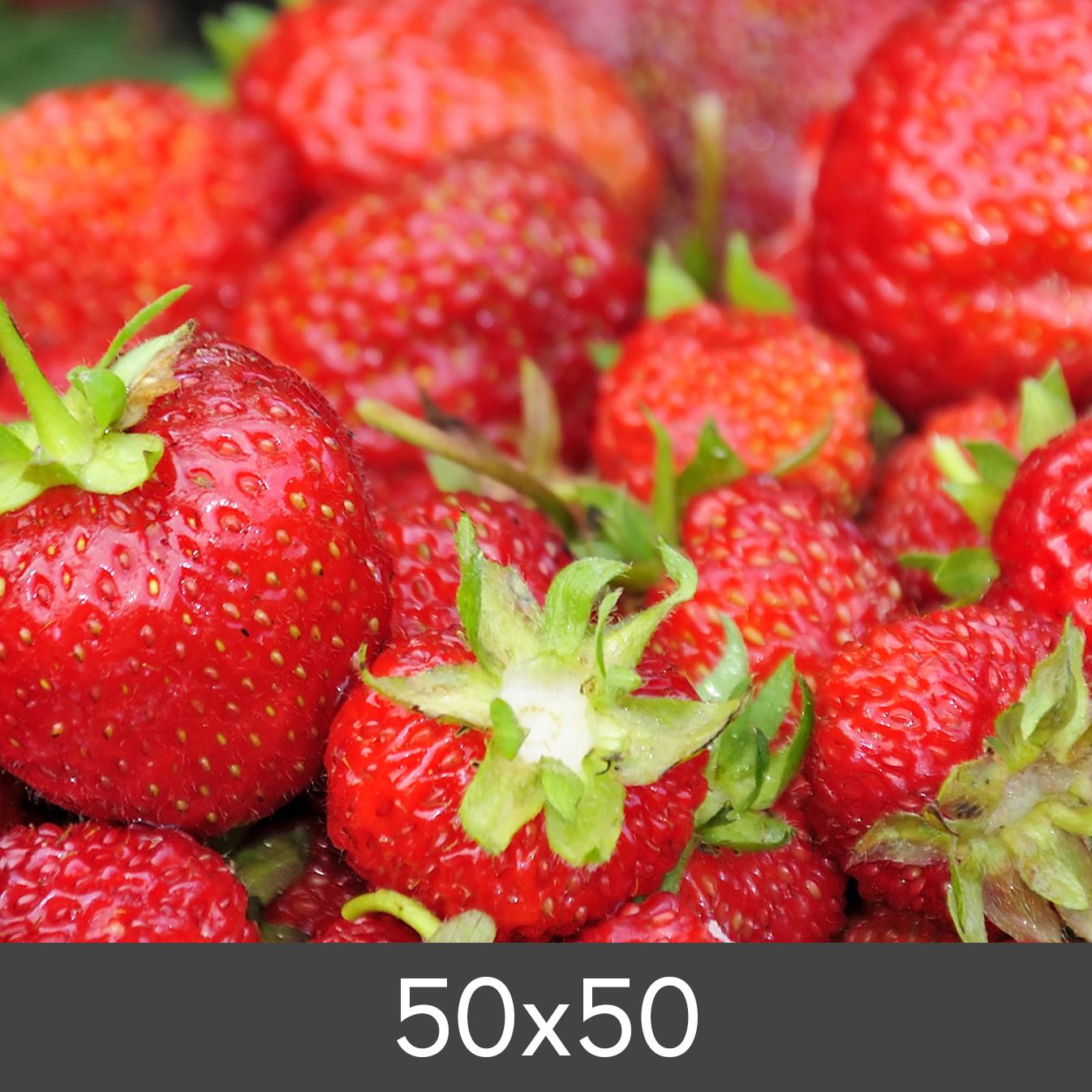Product Image for Ampliação Padrão Photo Glossy 290 g (50x50 cm/Ampliação - FineArt Photo Glossy)